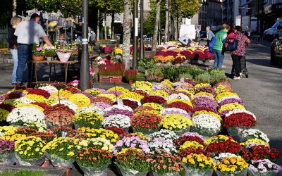 Marché aux fleurs et infos cimetières / Toussaint